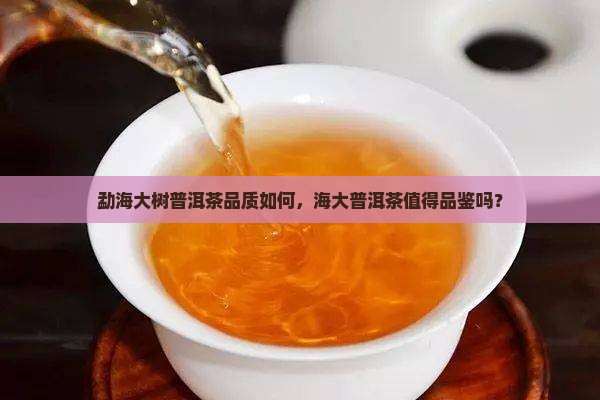 勐海大树普洱茶品质如何，海大普洱茶值得品鉴吗？