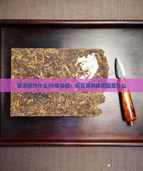 普洱茶为什么20年会闷：探究其具体原因是什么