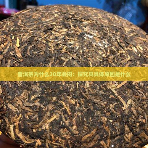 普洱茶为什么20年会闷：探究其具体原因是什么