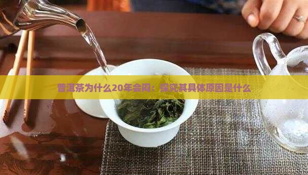 普洱茶为什么20年会闷：探究其具体原因是什么