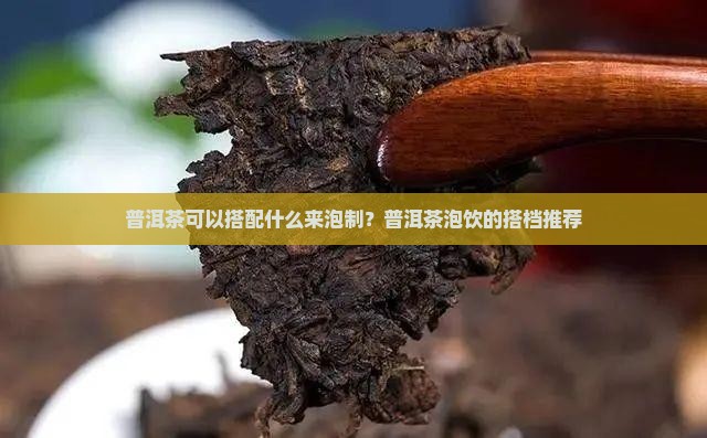 普洱茶可以搭配什么来泡制？普洱茶泡饮的搭档推荐