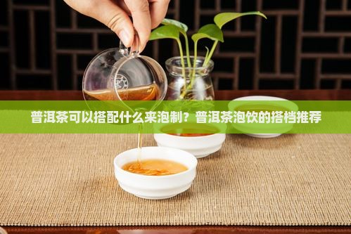 普洱茶可以搭配什么来泡制？普洱茶泡饮的搭档推荐