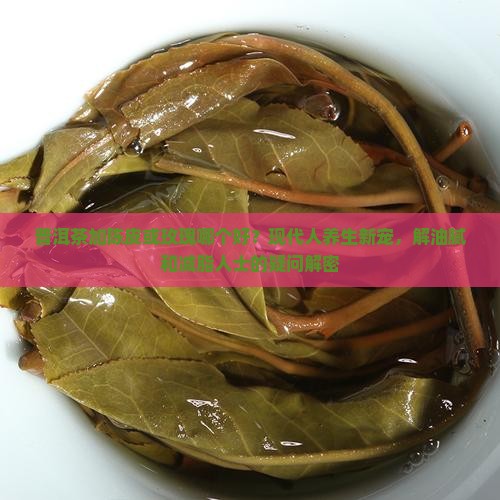 普洱茶加陈皮或玫瑰哪个好？现代人养生新宠，解油腻和减脂人士的疑问解密