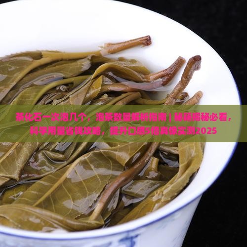 茶化石一次泡几个