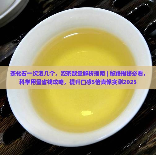 茶化石一次泡几个