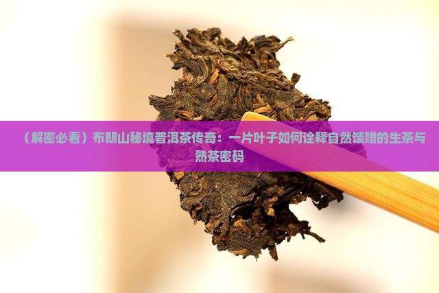 布朗山秘境普洱茶