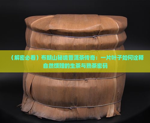 布朗山秘境普洱茶