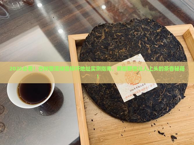 古树普洱茶味觉标杆地址