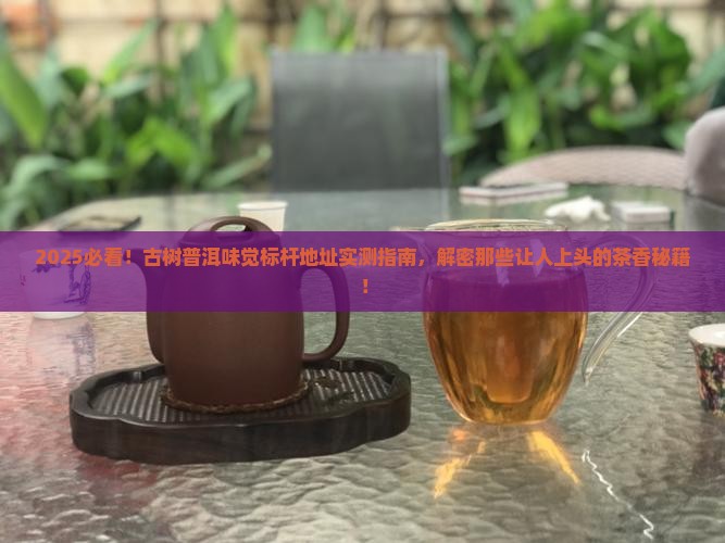 古树普洱茶味觉标杆地址
