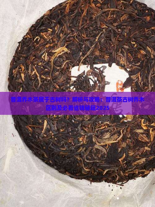 普洱乔木茶属于古树吗