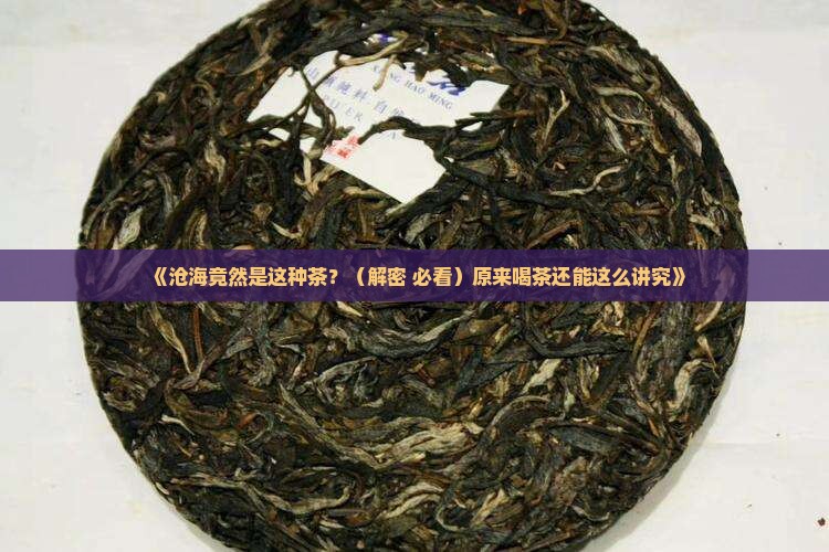 沧海是什么茶叶