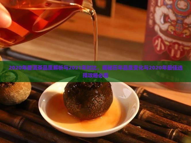 2020年普洱茶品质