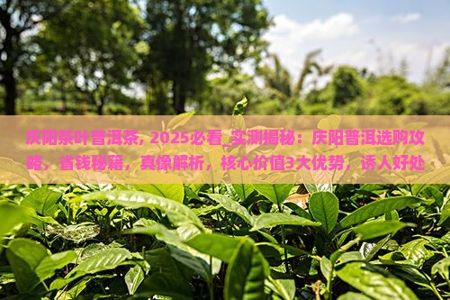 庆阳茶叶普洱茶