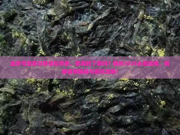 金庆号皇家白茶曼松贡茶
