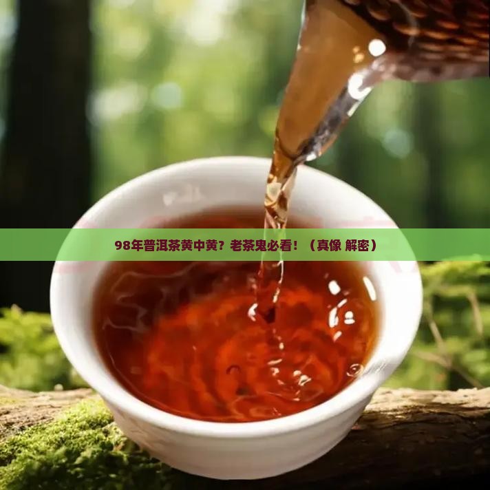 98年普洱茶黄中黄