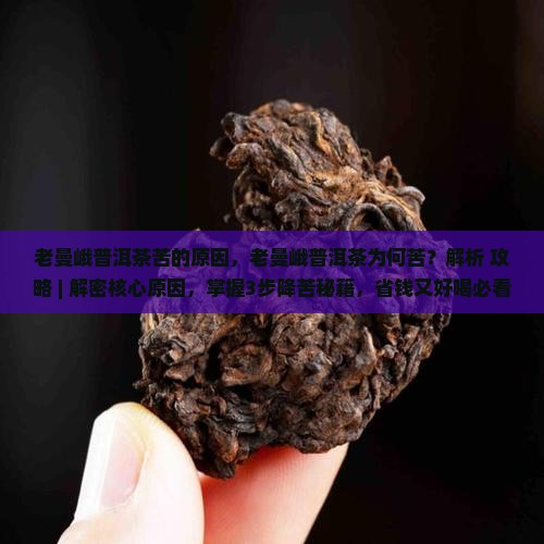 老曼峨普洱茶苦的原因