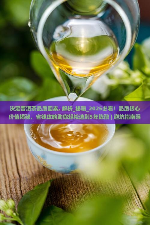 决定普洱茶品质因素