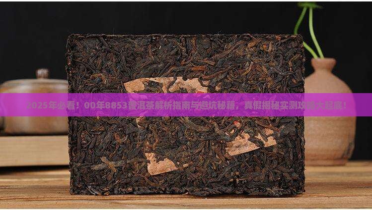 00年8853普洱茶