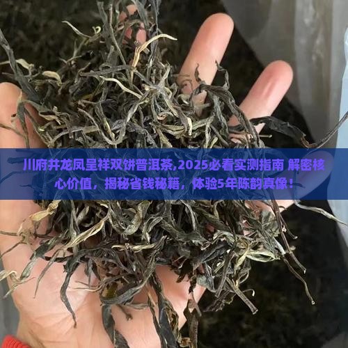 川府井龙凤呈祥双饼普洱茶