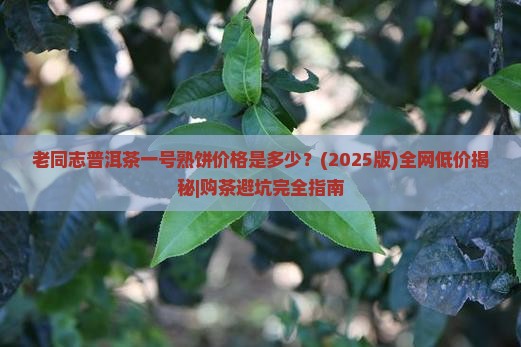 老同志普洱茶一号熟饼价格