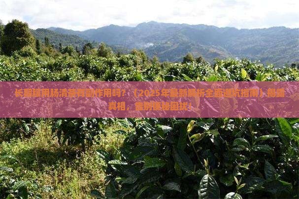 长期服用肠清茶有副作用吗