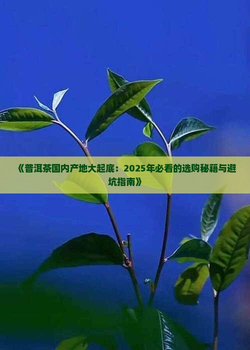 普洱茶国内生产地