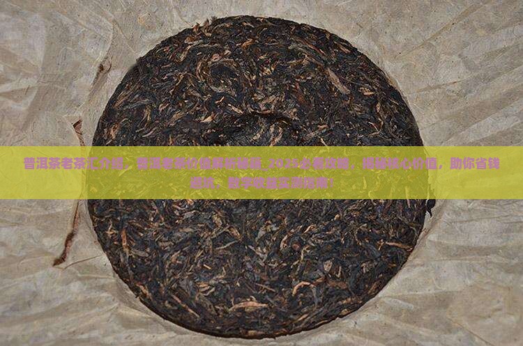 普洱茶老茶汇介绍
