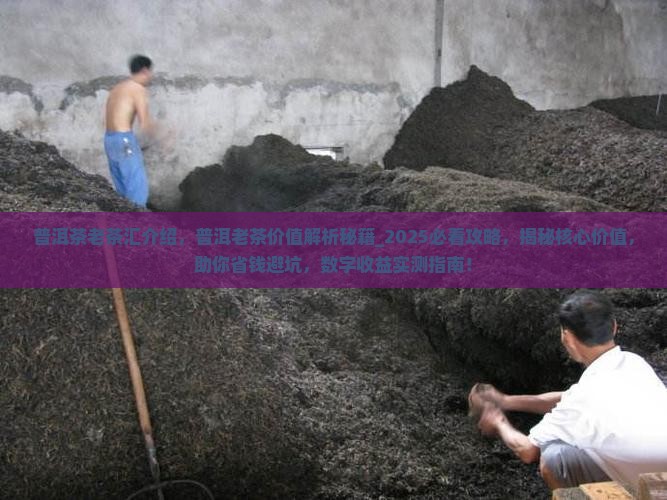 普洱茶老茶汇介绍