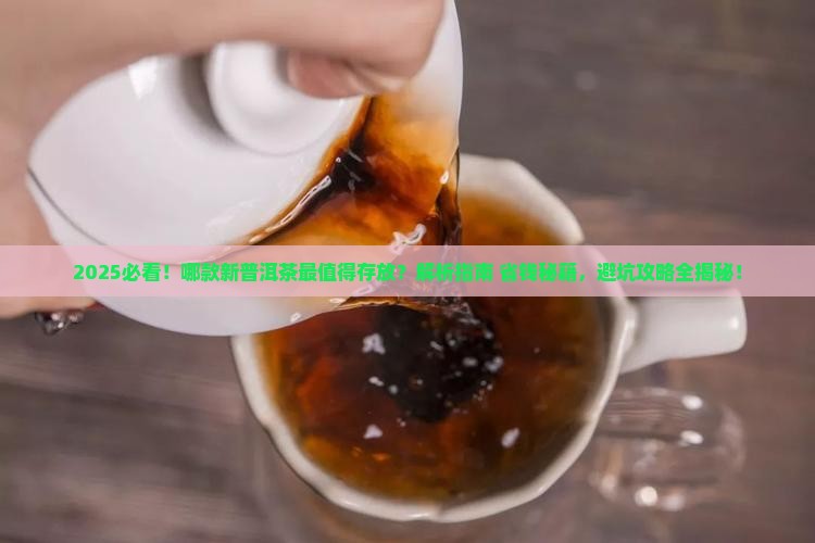 哪款新普洱茶最值得存放