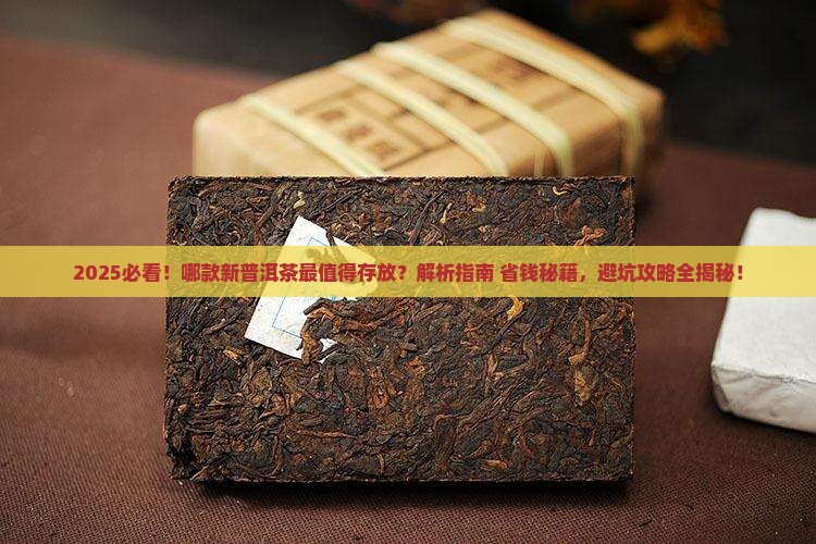 哪款新普洱茶最值得存放