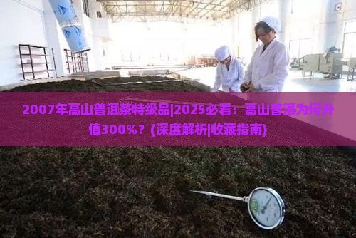 2007年高山普洱茶特级品