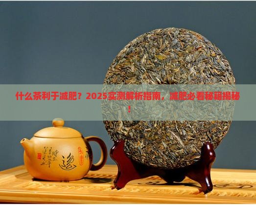 什么茶利于减肥