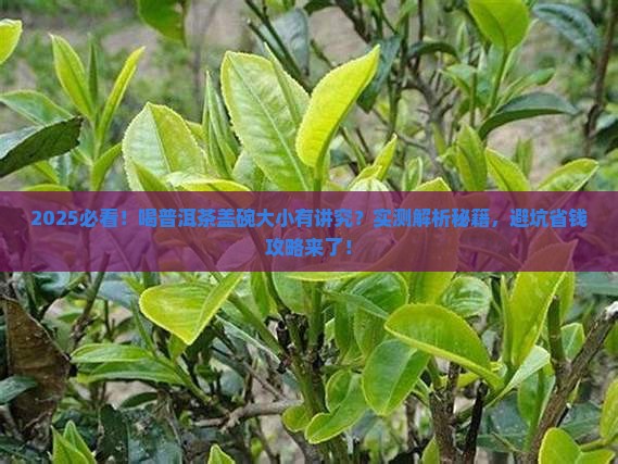 喝普洱茶用多大盖碗好呢