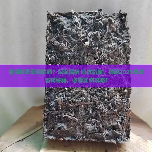 普洱茶夏季能喝