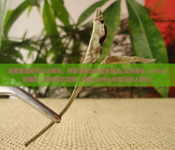 泡熟普洱茶可以过夜吗