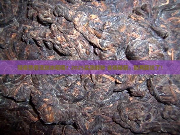 熟普洱茶隔夜喝要放冰箱吗