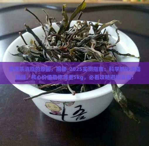 普洱茶消脂的原因