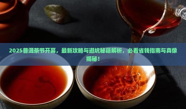2017普洱茶节开幕 2017普洱茶节开幕