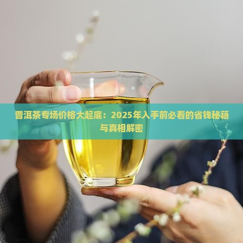 普洱茶专场价格