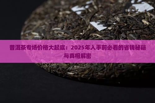 普洱茶专场价格