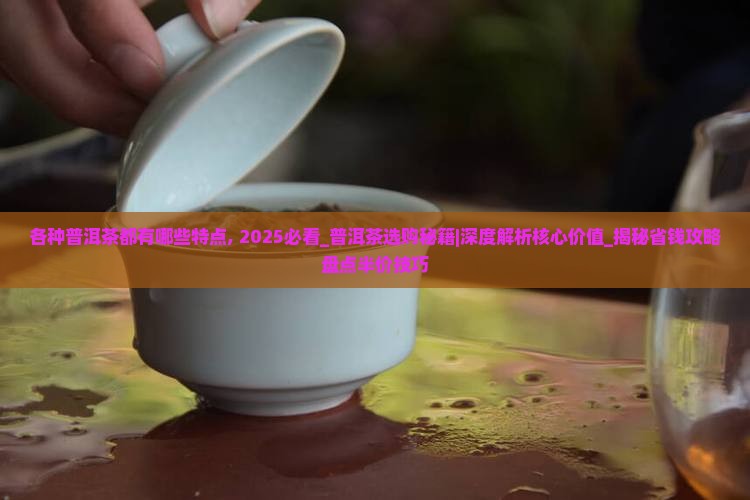 各种普洱茶都有哪些特点