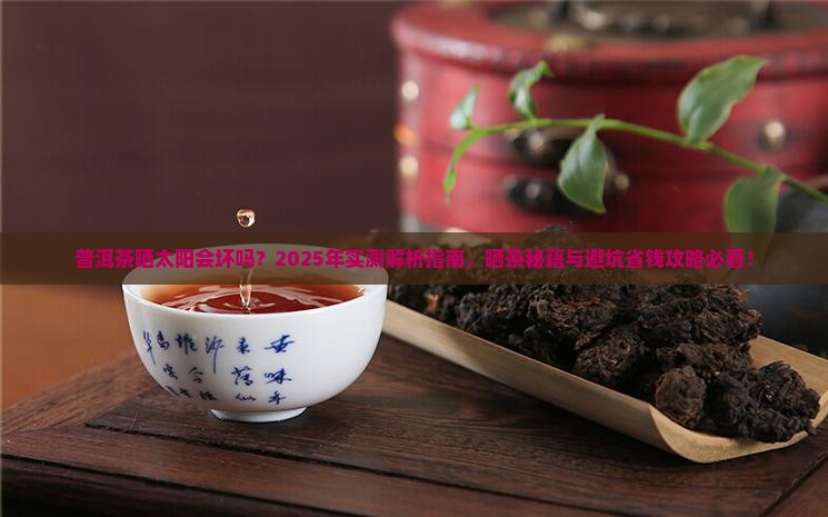 普洱茶可以晒不