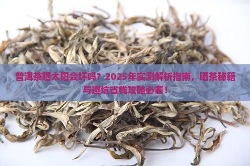 普洱茶可以晒不