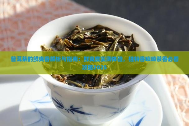 普洱茶的鲜爽香