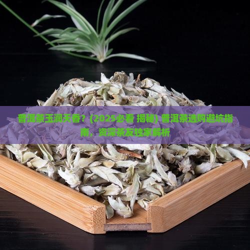 普洱茶玉润天香