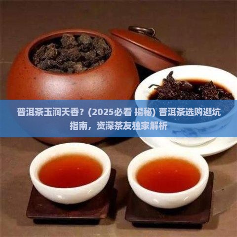 普洱茶玉润天香