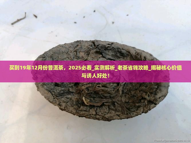 买到19年12月份普洱茶