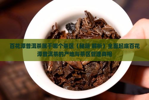 百花潭普洱茶属于哪个茶区