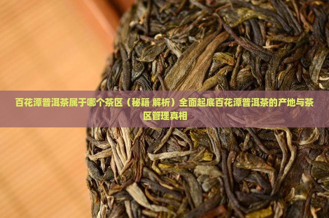 百花潭普洱茶属于哪个茶区