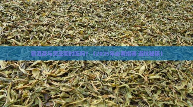 普洱茶与灵芝同时吃吗